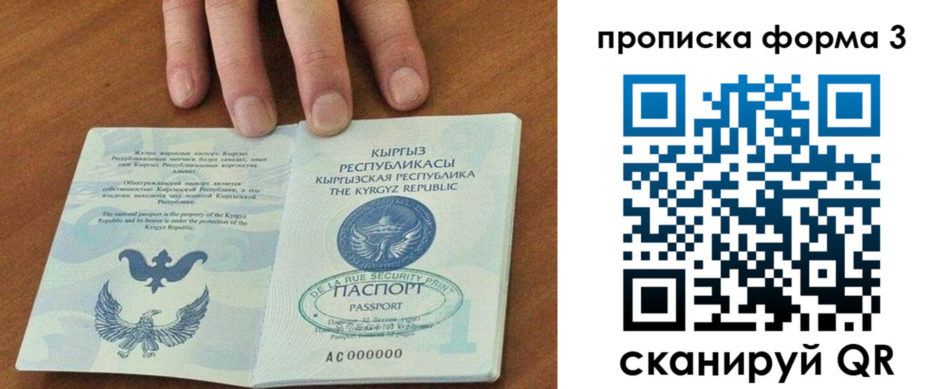регистрация в Советской Гавани